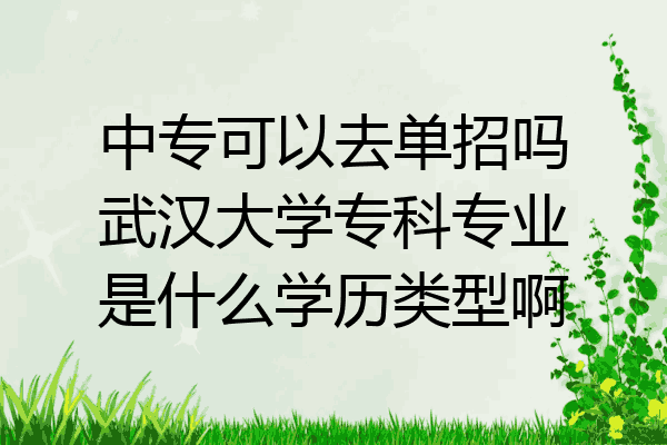 中专可以去单招吗武汉大学专科专业是什么学历类型啊