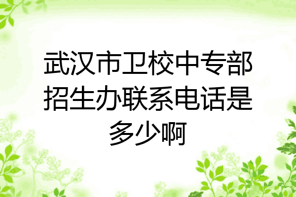 武汉市卫校中专部招生办联系电话是多少啊