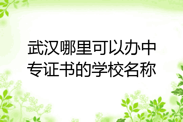 武汉哪里可以办中专证书的学校名称