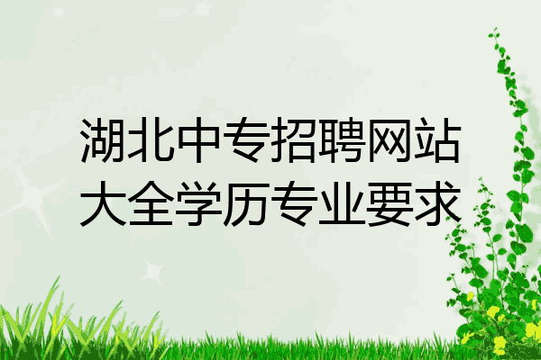 湖北中专招聘网站大全学历专业要求