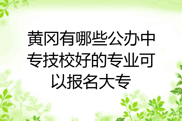 黄冈有哪些公办中专技校好的专业可以报名大专