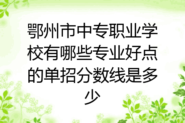 鄂州市中专职业学校有哪些专业好点的单招分数线是多少