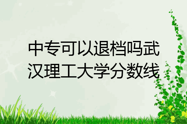 中专可以退档吗武汉理工大学分数线