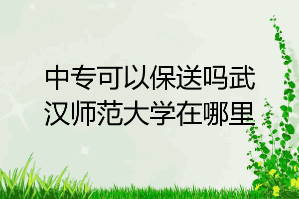 中专可以保送吗武汉师范大学在哪里