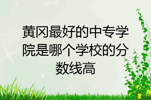 黄冈最好的中专学院是哪个学校的分数线高