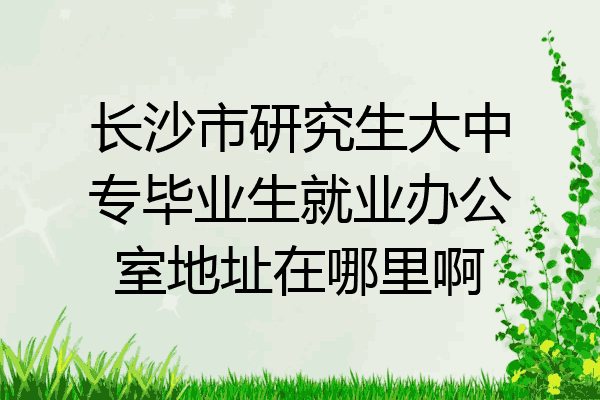 长沙市研究生大中专毕业生就业办公室地址在哪里啊
