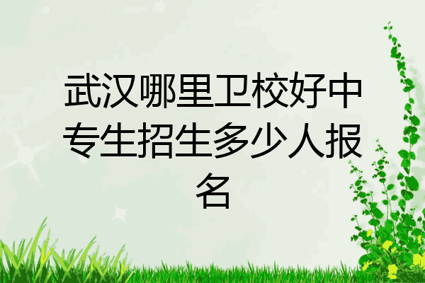 武汉哪里卫校好中专生招生多少人报名