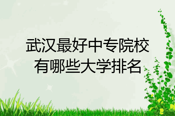 武汉最好中专院校有哪些大学排名