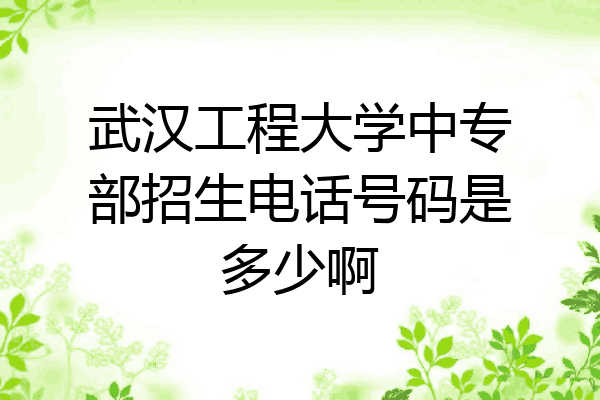 武汉工程大学中专部招生电话号码是多少啊