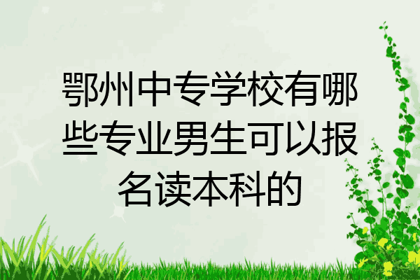 鄂州中专学校有哪些专业男生可以报名读本科的