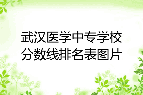 武汉医学中专学校分数线排名表图片