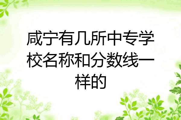 咸宁有几所中专学校名称和分数线一样的
