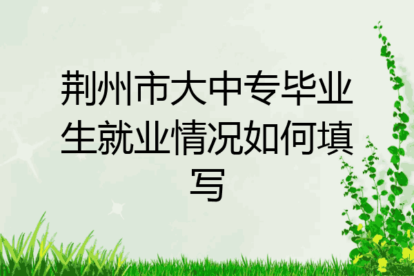 荆州市大中专毕业生就业情况如何填写