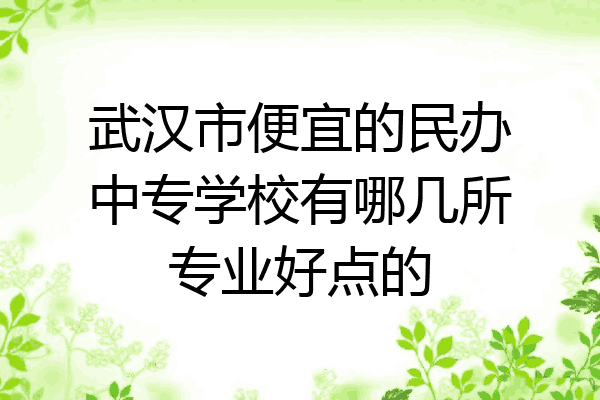 武汉市便宜的民办中专学校有哪几所专业好点的