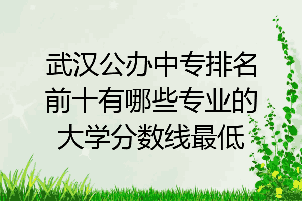 武汉公办中专排名前十有哪些专业的大学分数线最低