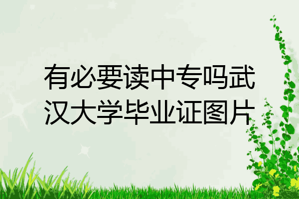 有必要读中专吗武汉大学毕业证图片
