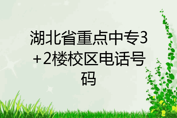 湖北省重点中专3+2楼校区电话号码