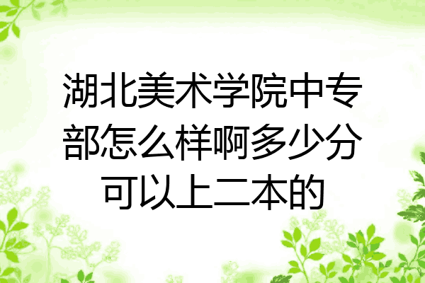 湖北美术学院中专部怎么样啊多少分可以上二本的