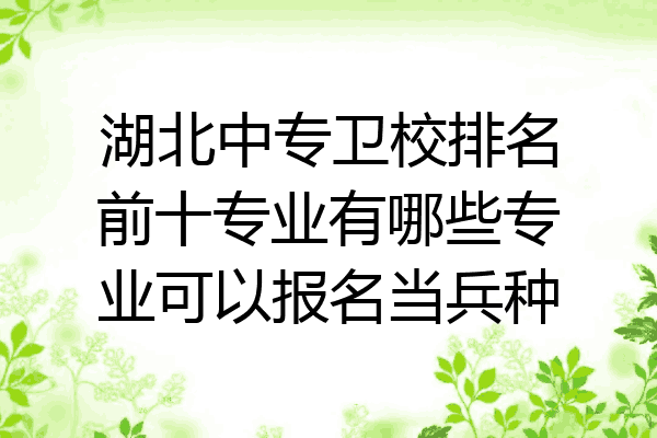 湖北中专卫校排名前十专业有哪些专业可以报名当兵种