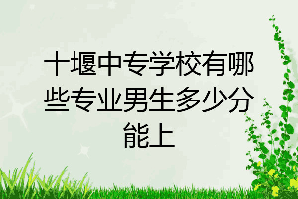十堰中专学校有哪些专业男生多少分能上