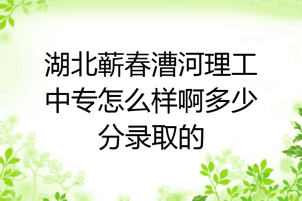 湖北蕲春漕河理工中专怎么样啊多少分录取的
