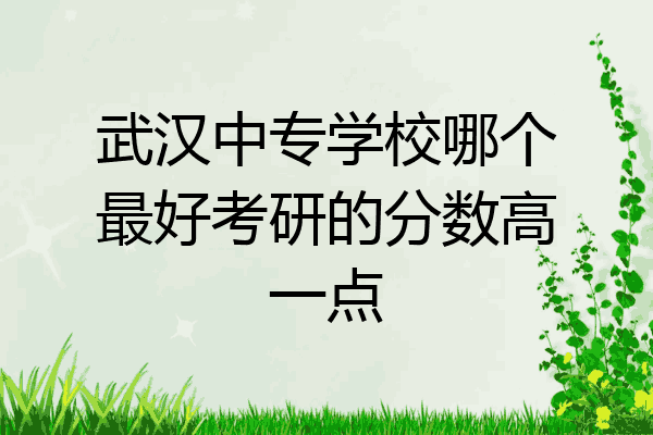 武汉中专学校哪个最好考研的分数高一点