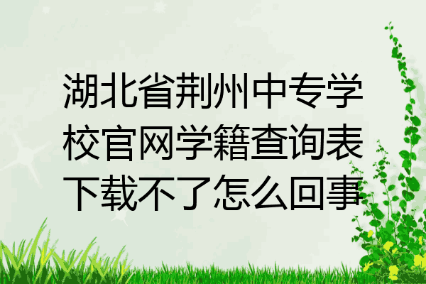 湖北省荆州中专学校官网学籍查询表下载不了怎么回事