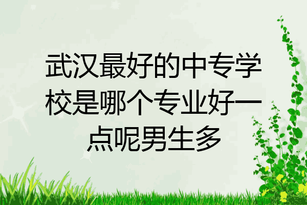 武汉最好的中专学校是哪个专业好一点呢男生多