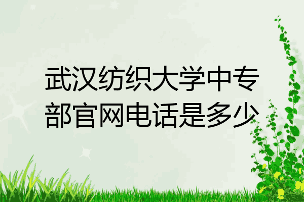武汉纺织大学中专部官网电话是多少