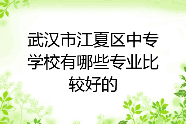 武汉市江夏区中专学校有哪些专业比较好的