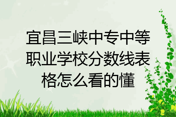 宜昌三峡中专中等职业学校分数线表格怎么看的懂