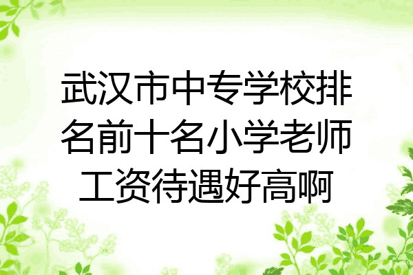 武汉市中专学校排名前十名小学老师工资待遇好高啊