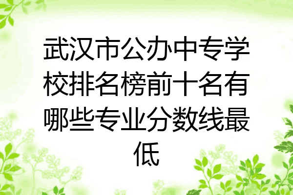 武汉市公办中专学校排名榜前十名有哪些专业分数线最低