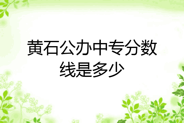 黄石公办中专分数线是多少