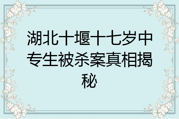 湖北十堰十七岁中专生被杀案真相揭秘