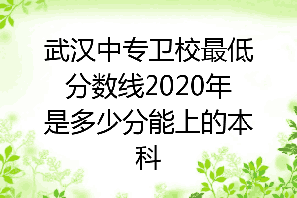 武汉中专卫校最低分数线2020年是多少分能上的本科