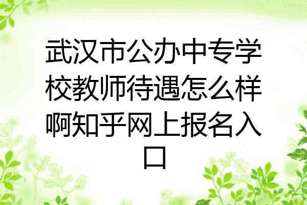 武汉市公办中专学校教师待遇怎么样啊知乎网上报名入口
