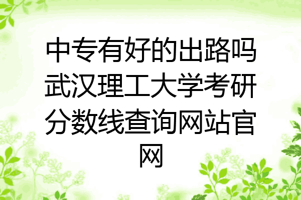 中专有好的出路吗武汉理工大学考研分数线查询网站官网