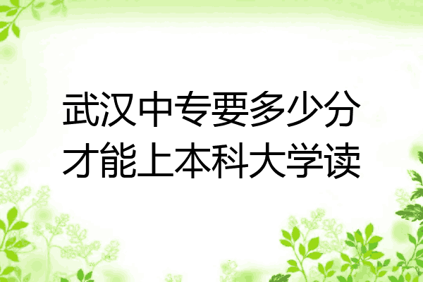 武汉中专要多少分才能上本科大学读