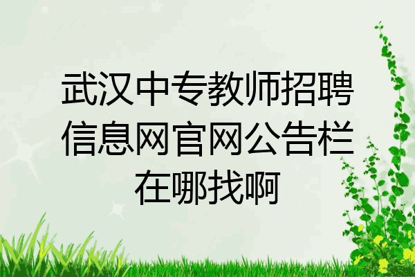 武汉中专教师招聘信息网官网公告栏在哪找啊