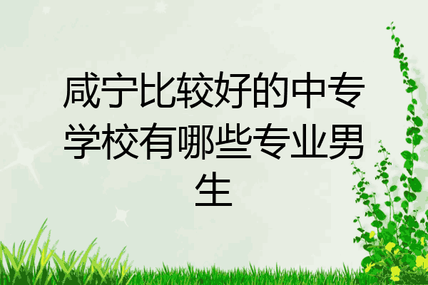 咸宁比较好的中专学校有哪些专业男生