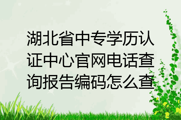 湖北省中专学历认证中心官网电话查询报告编码怎么查