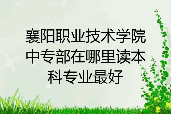 襄阳职业技术学院中专部在哪里读本科专业最好