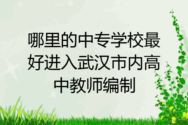 哪里的中专学校最好进入武汉市内高中教师编制