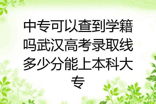 中专可以查到学籍吗武汉高考录取线多少分能上本科大专