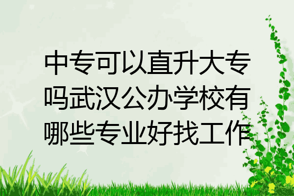 中专可以直升大专吗武汉公办学校有哪些专业好找工作