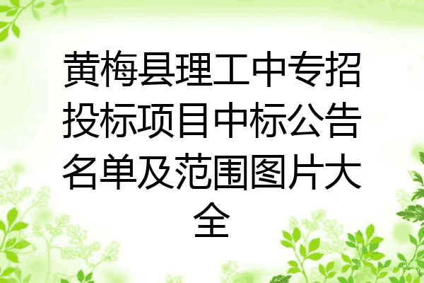 黄梅县理工中专招投标项目中标公告名单及范围图片大全