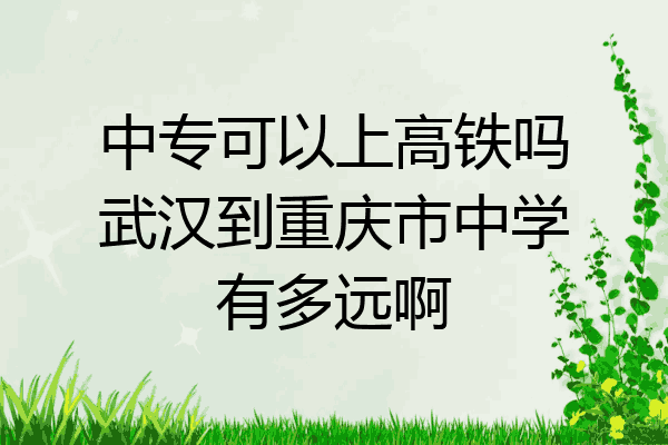 中专可以上高铁吗武汉到重庆市中学有多远啊