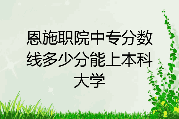 恩施职院中专分数线多少分能上本科大学