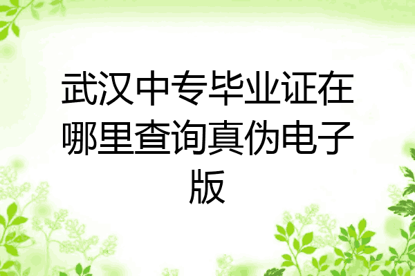 武汉中专毕业证在哪里查询真伪电子版
